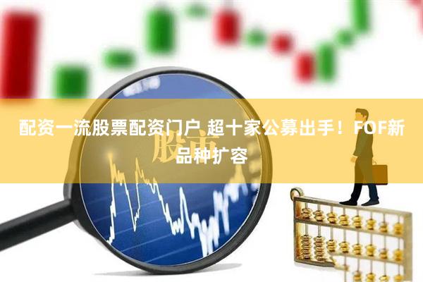 配资一流股票配资门户 超十家公募出手！FOF新品种扩容