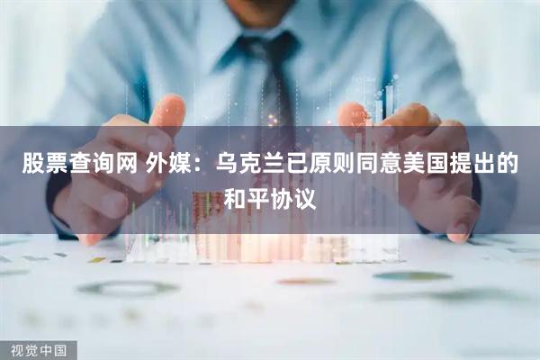 股票查询网 外媒：乌克兰已原则同意美国提出的和平协议