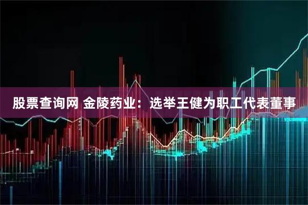 股票查询网 金陵药业：选举王健为职工代表董事